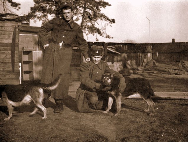 Павел Назаров Валерьевич | Нижний Новгород