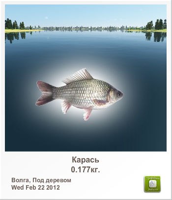 Данила Сергеев | Москва