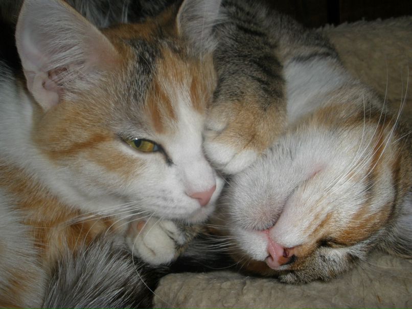 Дмитрий Родин | Москва