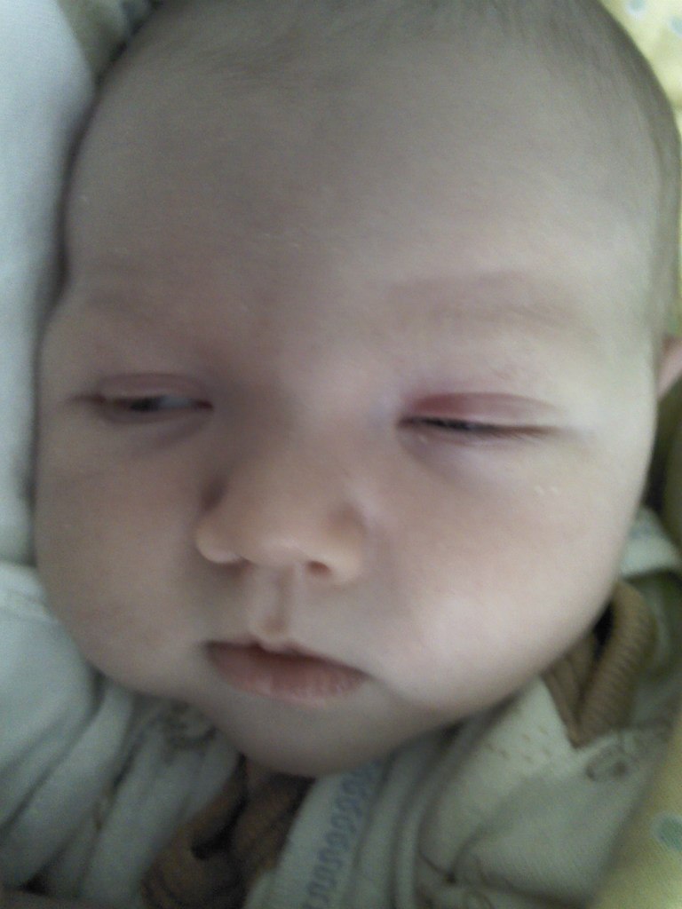 Елизавета Фирстова Николаевна | Калининград