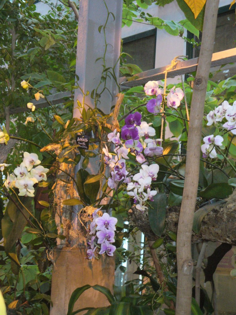 Татьяна Голубева | Москва