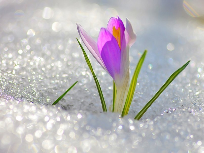 Оленька Абдуллина | Казань