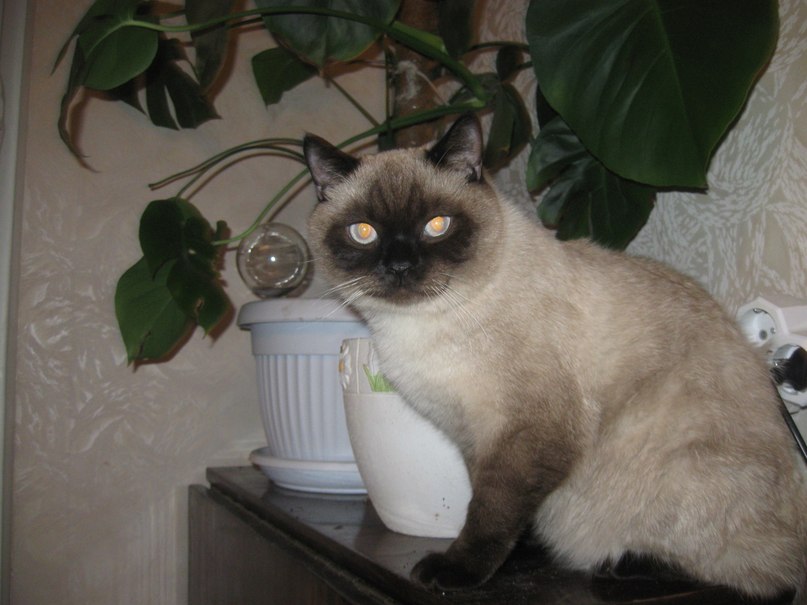 Сергей Колосов Сергеевич | Киев