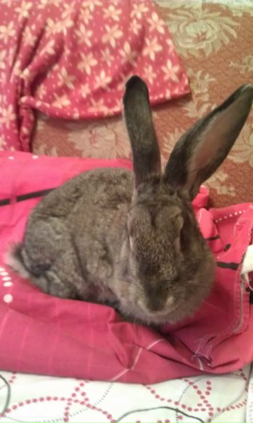 №92, Володимир Крылевич, 38 лет, Санкт-Петербург №92, Володимир Крылевич, 38 лет, Санкт-Петербург