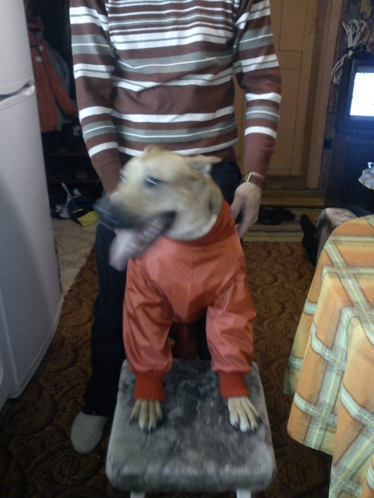 Игорь Плехов | Салехард