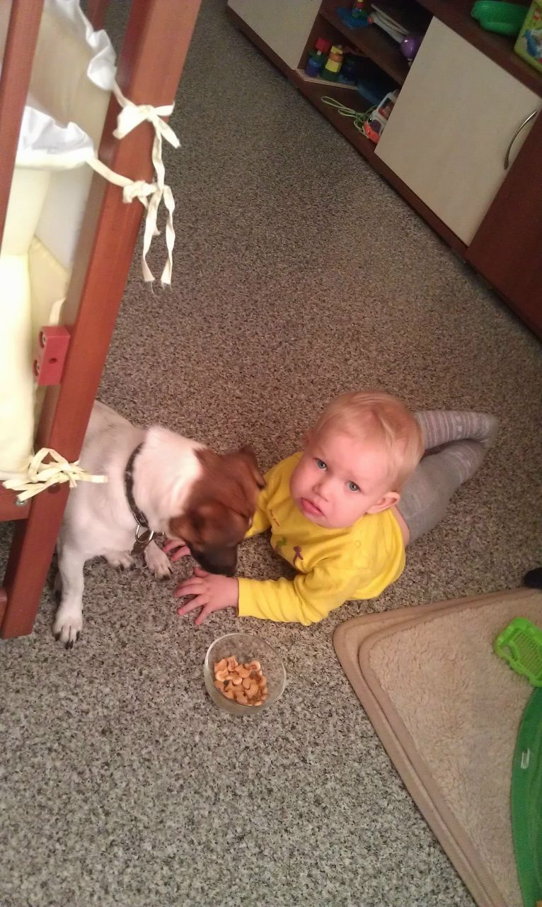 Дмитрий Кузнецов | Санкт-Петербург