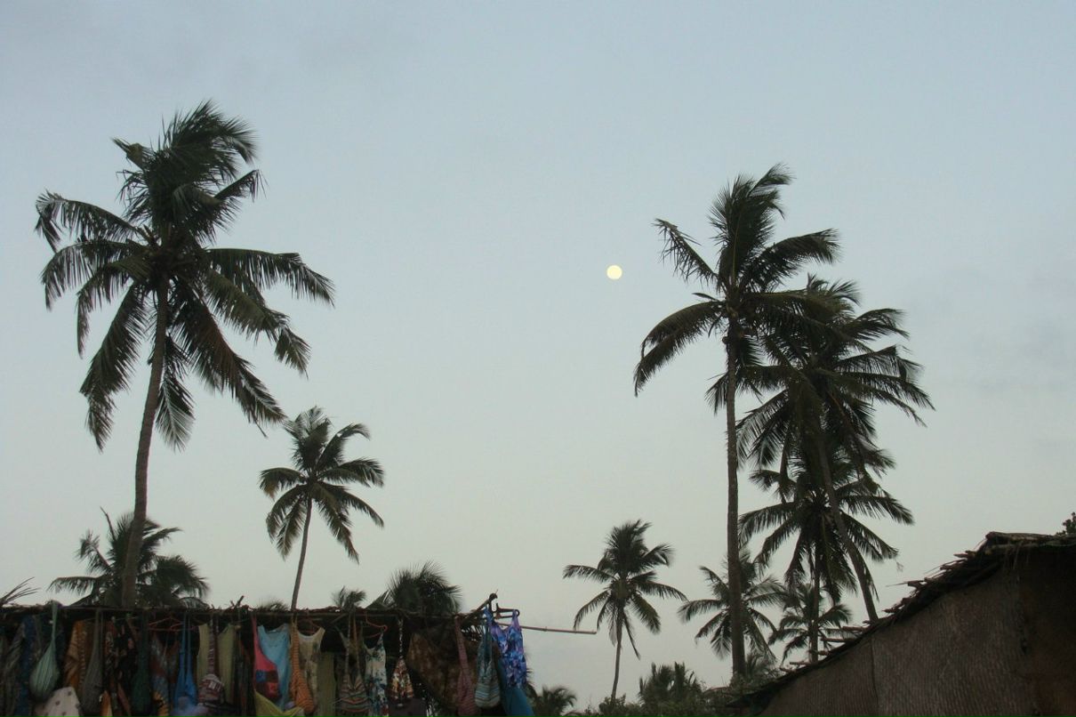 Татьяна Полякова | Рязань