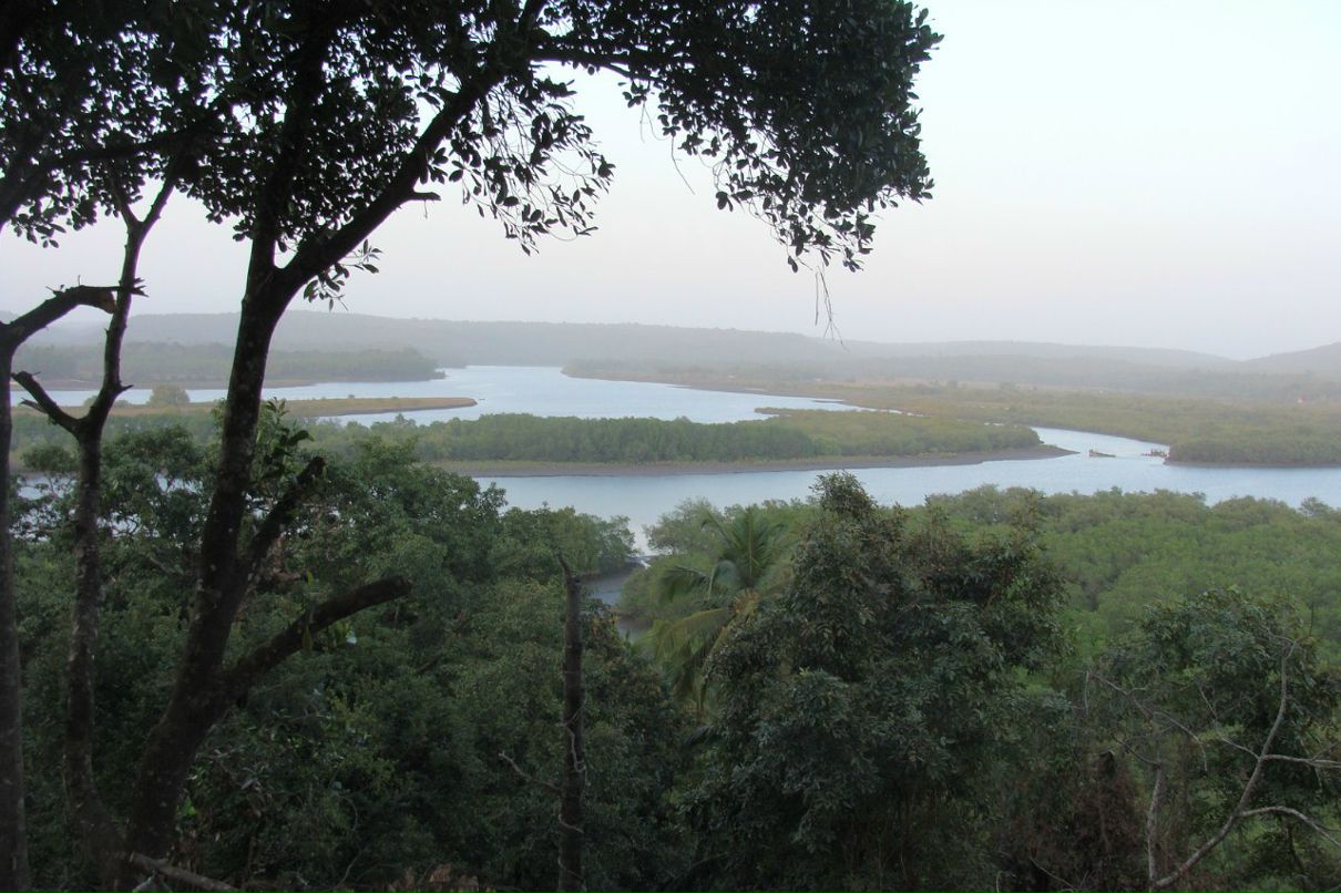 Татьяна Полякова | Рязань