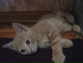 №28 Олеся Минеева 06.09.1988: профиль, фото, статус - ВКонтакте