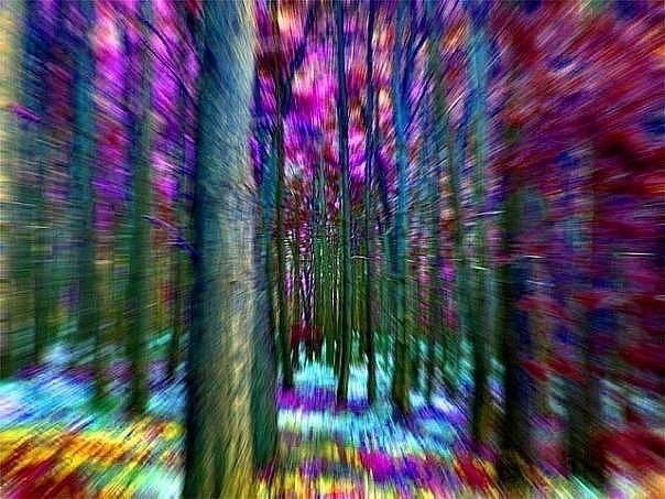 Степан Кухмистеров SEAL | Kabul