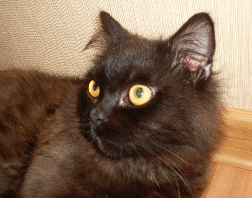 Станислав Самохин | Москва