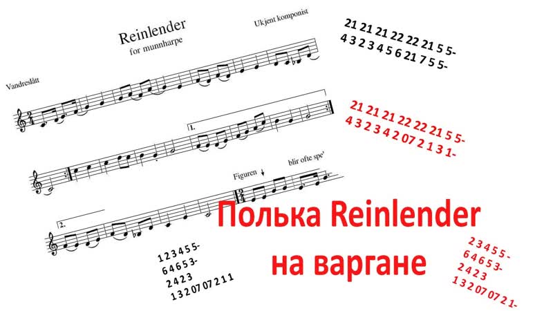 Reinlender. Обучающее