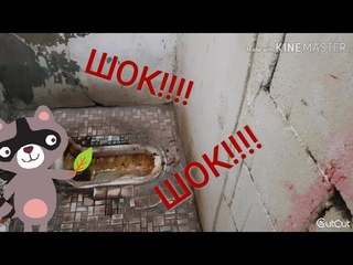 ШОК!!!! БЕДНАЯ ЖИЗНЬ Южная корея....