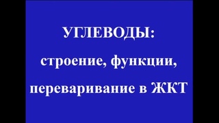 Паршкова Е. В., доцент кафедры биохимии. Углеводы.