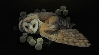 Art-Stream #3 Сова и одуванчики