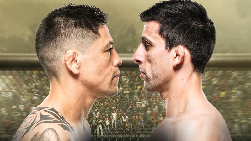 I ve Got Something to Prove , Moreno vs Erceg Fight