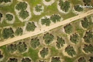 Andalucia. Spain. видео моей земли. Андалусия. Испания