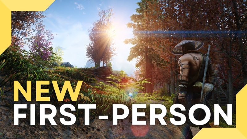 This NEW First Person Skyrim Mod is