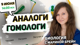 АНАЛОГИЧНЫЕ И ГОМОЛОГИЧНЫЕ ОРГАНЫ ЕГЭ сравнение + разбор заданий