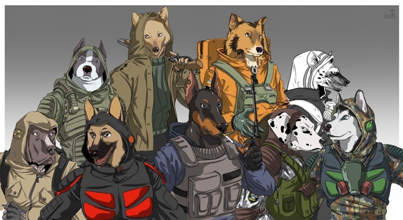 Дмитрий Михеев |