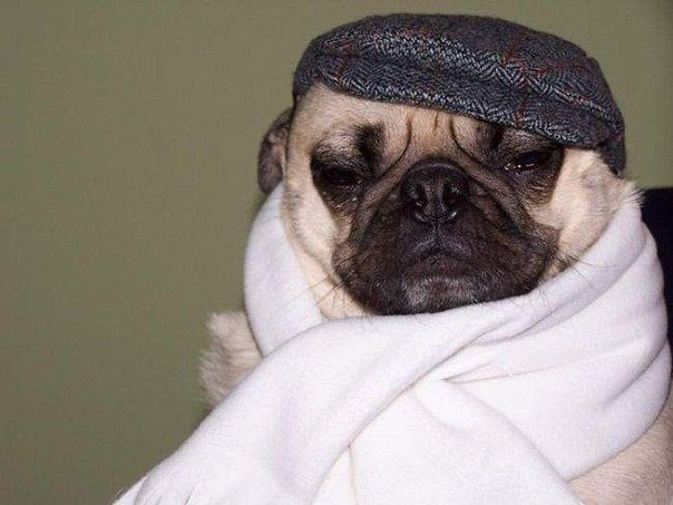 Михаил Айзенберг Bourne | Москва