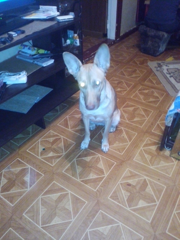 Людмила Казанцева | Самара