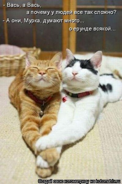 Александра Зотова | Тольятти