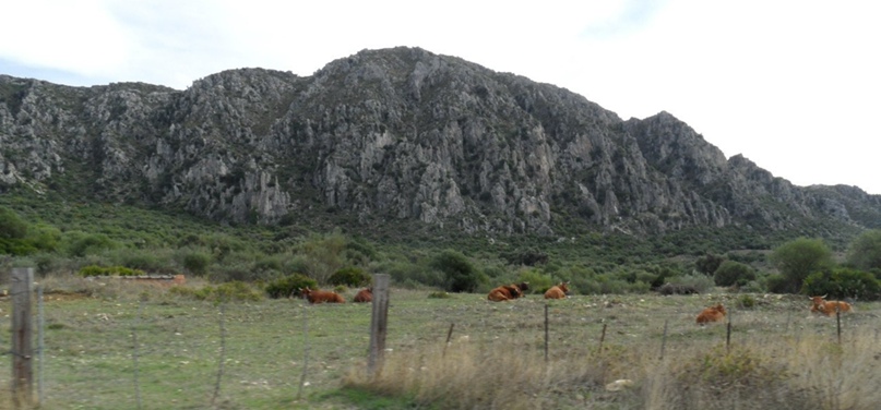 Veronika Ziablova | Málaga