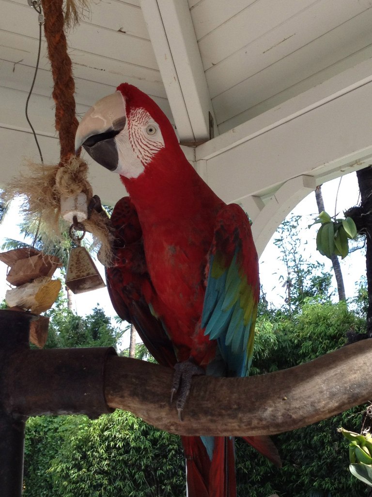 Lilia Ean $$ Biatchy $$ LOLяшка :D | New York City