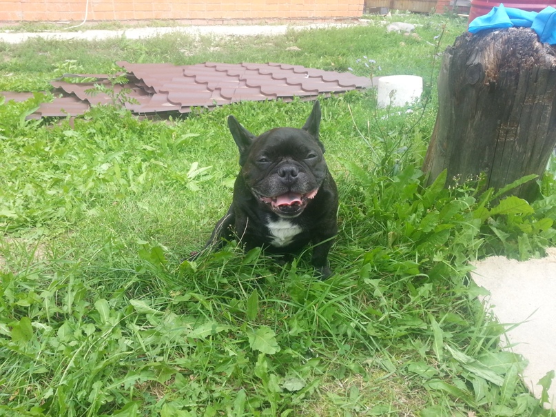 Максим Толмачёв | Владимир