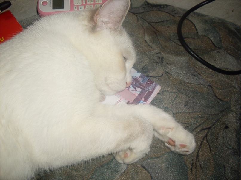 Саня Бондаренко Викторович | Мончегорск