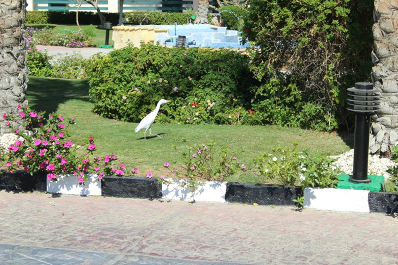 Мария Пугачёва Юрьевна | Александров