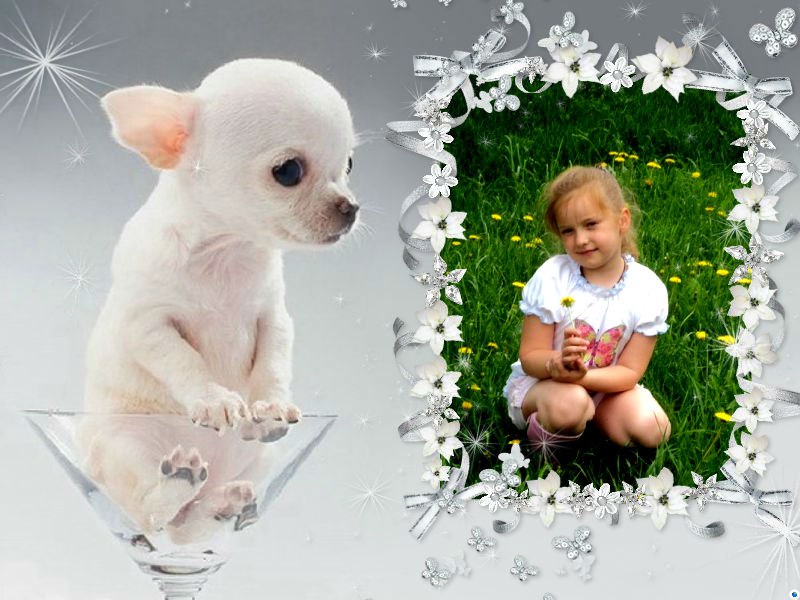 Даша Анохина | Электросталь