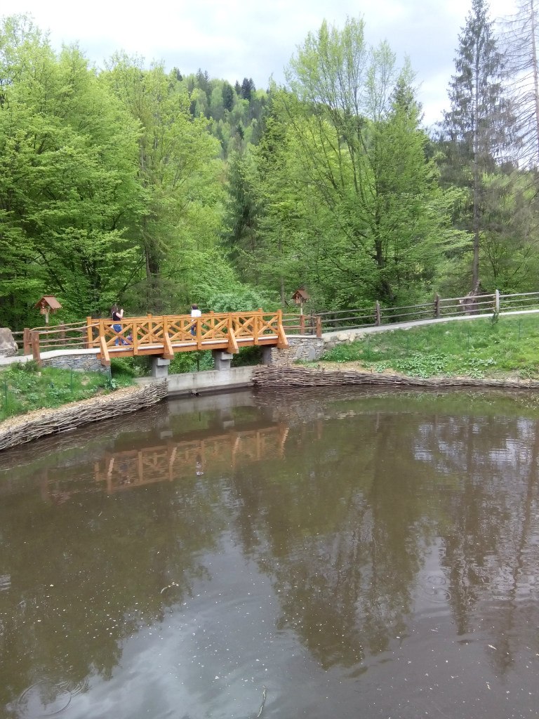 Евгений Добрынин | Киев