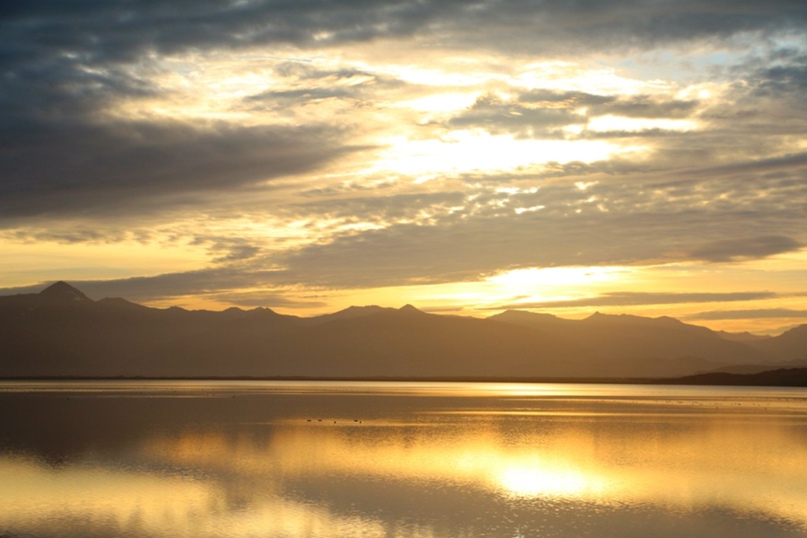 Сергей Привалов | Курск (поселок)