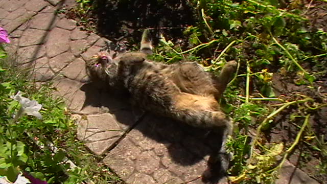 Надежда Журавлева | Тольятти