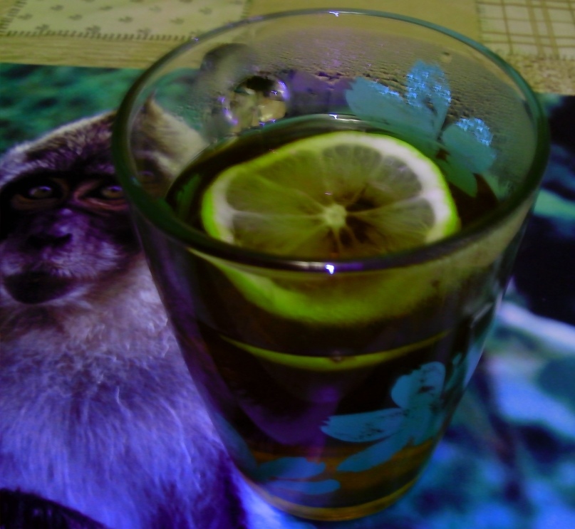 Анна Мерзлякова | Москва