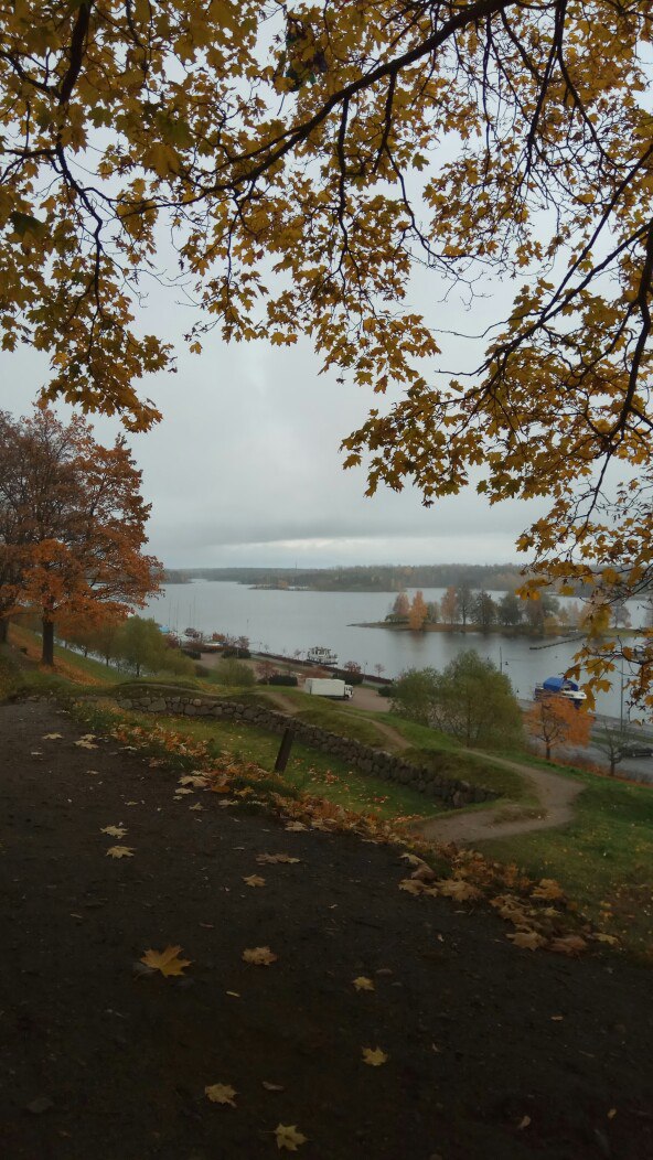 Юра Волков | Санкт-Петербург