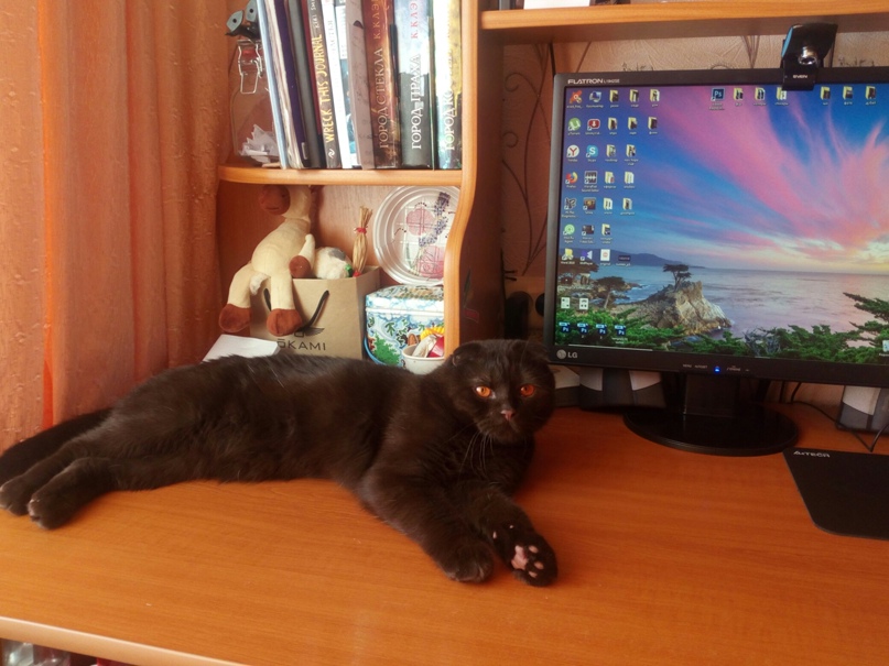 Светлана Зубова | Воротынск