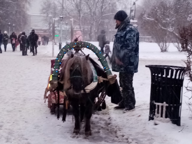 Ольга Мальгина | Тольятти