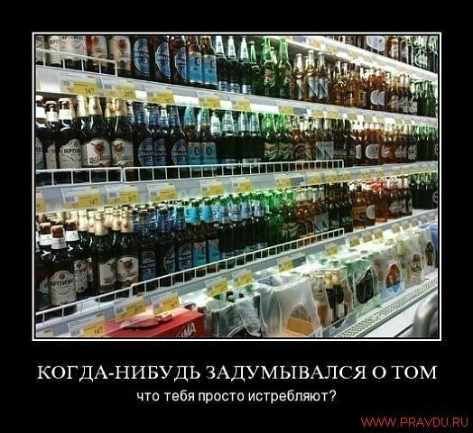 Катя Филипова |