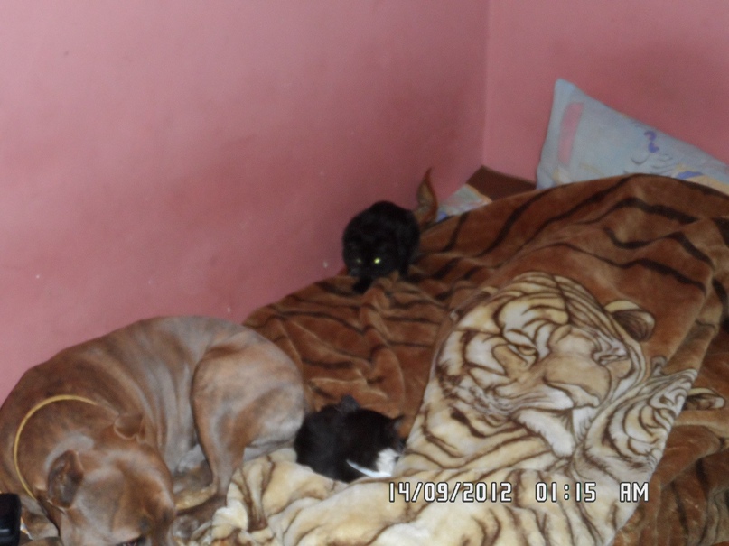 Женя Стрельников | Киев