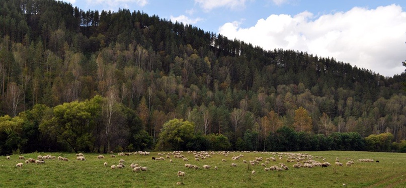 Юрий Коротких | Барнаул