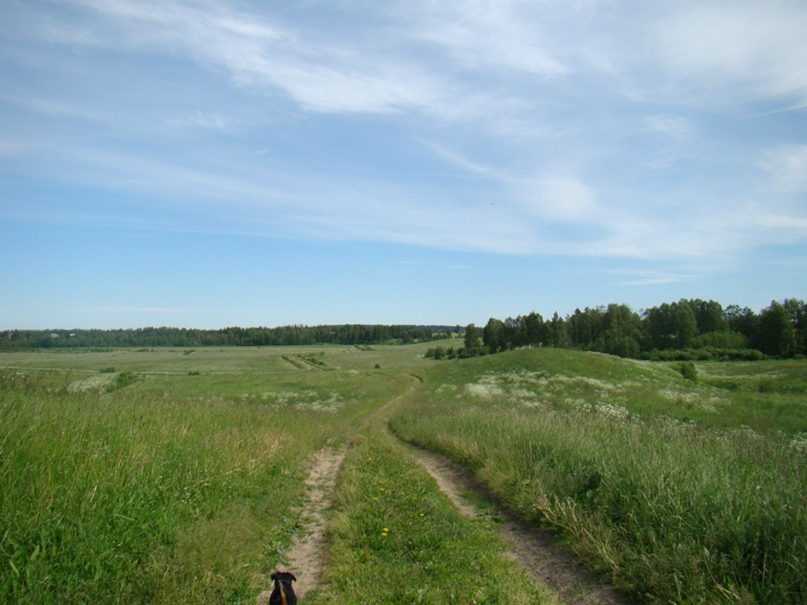 Наталья Щербакова-Смоляк | Санкт-Петербург