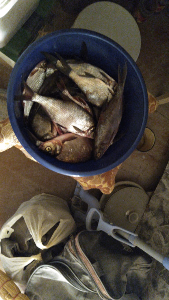 Дмитрий Таланов | Дзержинск