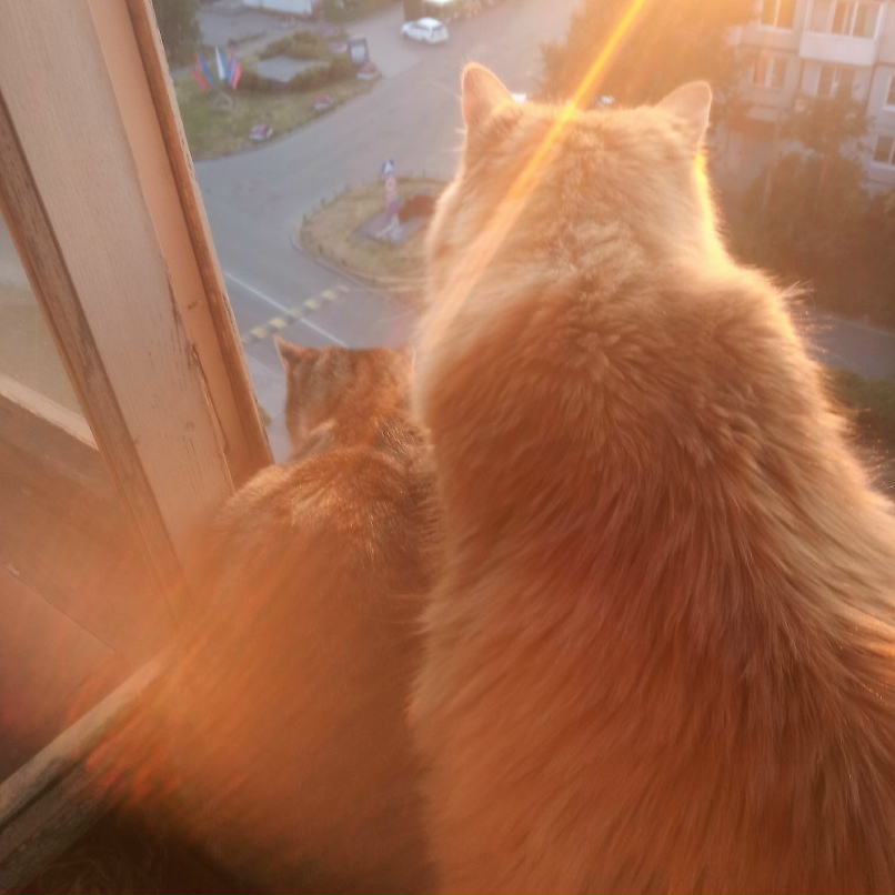 Евгений Парфеев | Санкт-Петербург