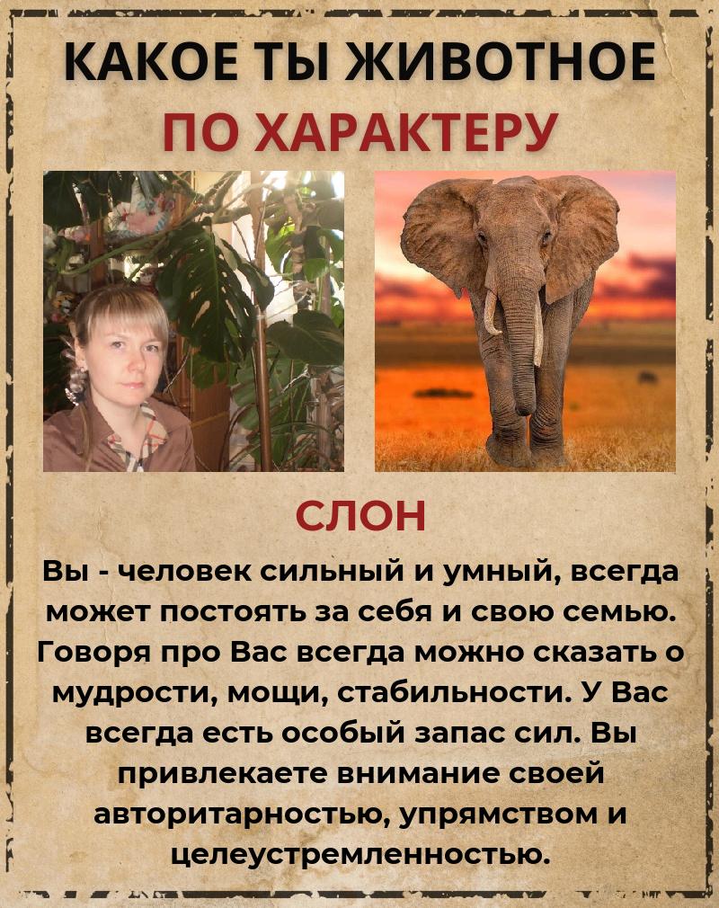 Ирина Бабичева | Лиски