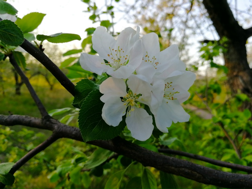 Павел Чекалин |