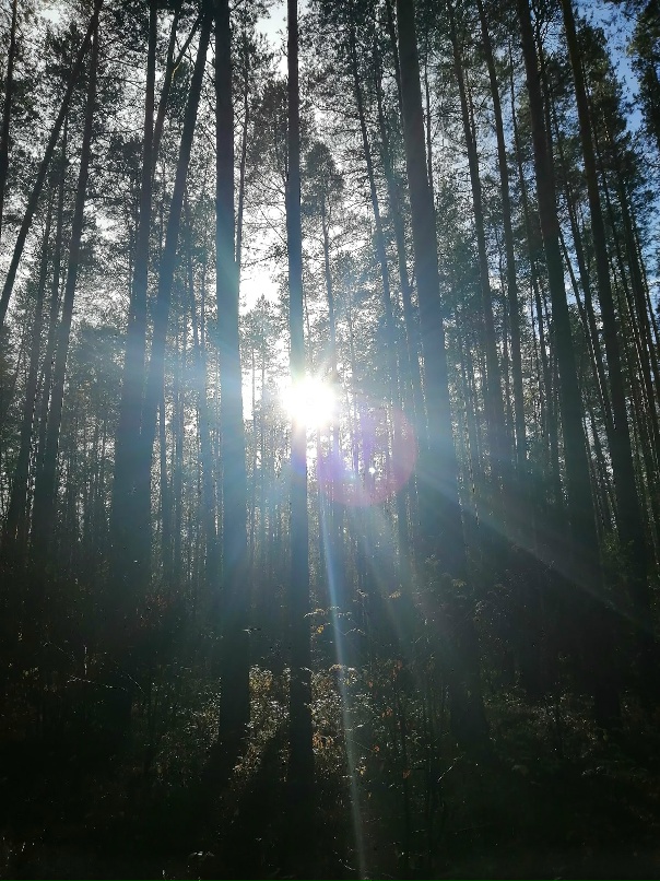 Елена Громова | Саров