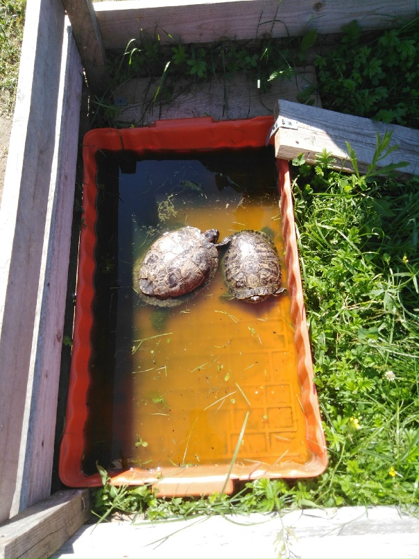 Наталья Кожевникова | Великий Новгород